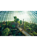 Coffret cadeau - TICKETBOX - ZooParc de Beauval - Séjour 1 Jour / 1 Nuit