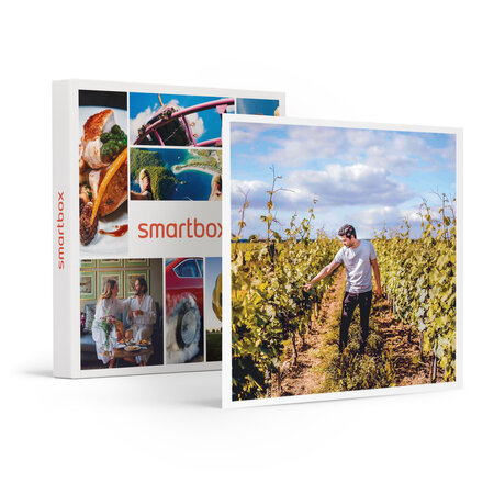 SMARTBOX - Coffret Cadeau Visite de vignoble en famille et dégustation près de Versailles -  Gastronomie