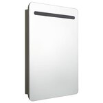 vidaXL Armoire de salle de bain à miroir LED anthracite 60x11x80 cm