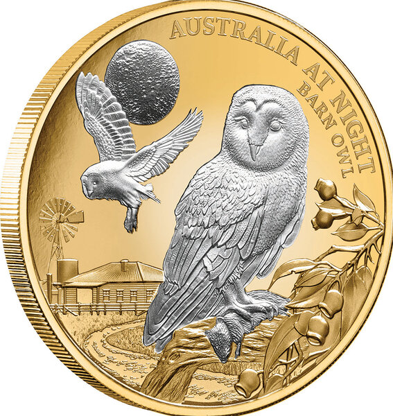Pièce de monnaie en or 100 dollars g 31.1 (1 oz) millésime 2022 australia at night barn owl