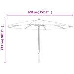 vidaXL Parasol de jardin avec mât en bois anthracite 400x273 cm