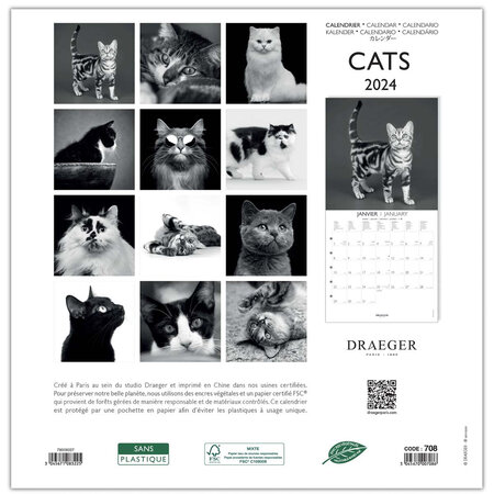 Chats Calendrier mural 2024 cm 31x33