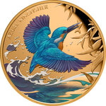 Monnaie en or 100 dollars g 31.1 (1 oz) millésime 2023 kingfisher azure kingfisher