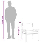 vidaXL Chaises de jardin et coussins sable lot de 2 68x76x79 cm acier