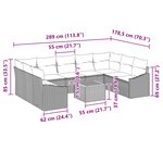 vidaXL Ensemble de canapé de jardin avec coussin 10 Pièces Noir polyrotin