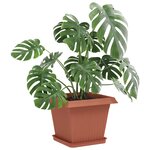 vidaXL Pots de plantes 24 Pièces Rouge brique 33 x 33 x 26 cm Plastique