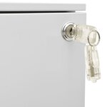 vidaXL Classeur mobile Gris clair 39x45x67 cm Acier