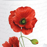 Tasse en porcelaine fine poppy