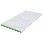 vidaXL Coussins de Matelas Blanc et vert 120 x 200 cm