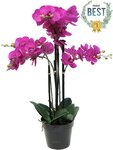 Orchidée phalaenopsis factice top qualité & pot h60cm rose fushia-best - dimhaut: h 60 cm - couleur: rose fushia