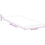 vidaXL Coussins de Matelas Blanc 70 x 200 cm