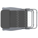 vidaXL Chaises pliables de jardin avec coussins lot de 2 Gris