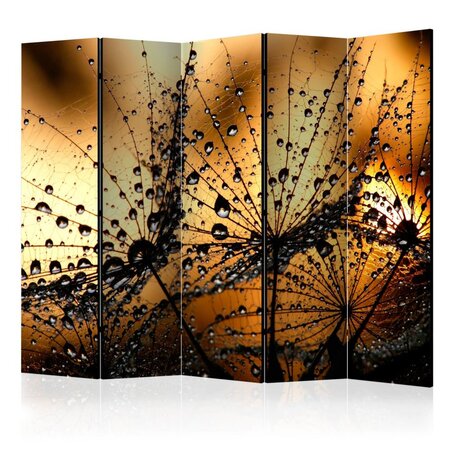 Paravent 5 volets - dandelions in the rain ii [room dividers] cm