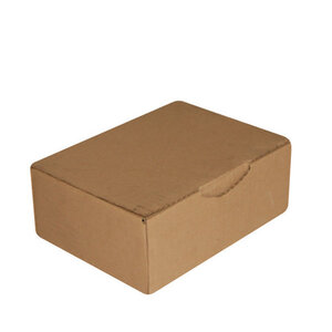 Carton d'expédition MAIL BOX - taille XL - marron