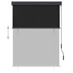 vidaXL Store roulant d'extérieur 120 x 250 cm Anthracite