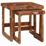 vidaXL Tables gigognes 2 Pièces 46 x 46 x 45 cm Bois Recyclé Solide