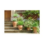 Terreau horticole plantes en pots et bacs terro-tonic 20 litres