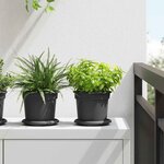 vidaXL Plateau à fleurs rond 6 Pièces Noir Ø 14 x 2 cm Plastique