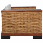 vidaXL Fauteuil avec coussins Marron Rotin naturel
