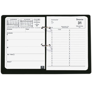 Agenda BLOC PLANING FR 11 x 14 cm QUOVADIS