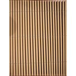 CATRAL - Canisse lop 1x3m - bambou fonce