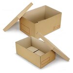 Caisse carton galia double cannelure avec couvercle renforcé 40x30x30 cm (lot de 20)