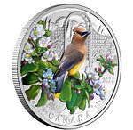 Pièce de monnaie 20 Dollars Canada Jaseur d’Amérique 2022 – Argent BE