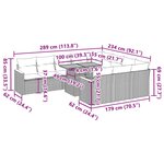 vidaXL Salon de jardin 11 Pièces avec coussins noir résine tressée