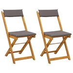 vidaXL Chaises de bistrot d'extérieur 2 Pièces Gris foncé 40 x 53 x 80 cm