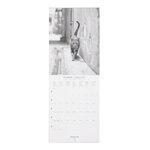 Petit calendrier mural chats noir et blanc - 2023 - draeger paris