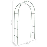 vidaXL Arche de jardin 2 Pièces pour plantes grimpantes