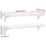 vidaXL Étagères murales 2 Pièces 100x30 cm argenté acier inoxydable
