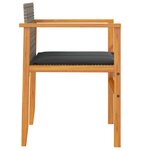 vidaXL Chaises de jardin coussins lot de 2 gris résine tressée et bois