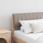 vidaXL Tête de lit capitonnée Taupe 160 cm Pin massif