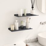 vidaXL Étagère flottante 2 Pièces Anthracite 40 x 18 x 2 5 cm Acier