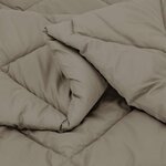 vidaXL Duvet complet toute l'année Gris clair 220 x 140 cm Microfibre