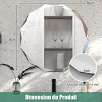 Miroir de courtoisie mural sans cadre miroir décoratif 76 cm antidéflagrant bords biseautés uniques poli argenté qualité supérieure 20_0008908