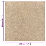 vidaXL Tapis ZIZUR 200x200 cm aspect de jute intérieur et extérieur