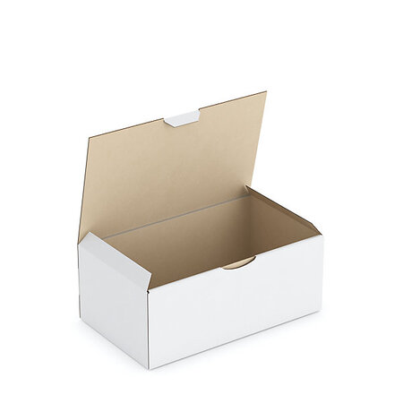 Boîte carton blanche d'expédition rajapost 25x15x10 cm (lot de 50)