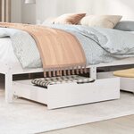 vidaXL Tiroirs sous le lit 2 Pièces blanc 65x55x17 cm bois de pin massif