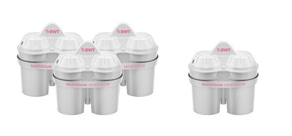 Longlife Lot de 3+1 cartouches pour carafes filtrantes Magnesium BWT