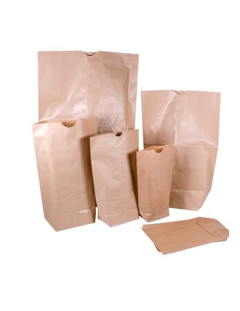 (lot   500 sacs) sac kraft brun standard 1 feuille à encoche 18 x 28 5