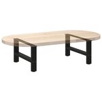 vidaXL Pieds de table basse Noir 2 pièces 60 x (30-31) cm Acier