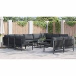 vidaXL Ensemble de canapé de jardin 11 Pièces Anthracite Acier