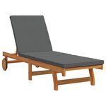 vidaXL Transat Marron 199 x 63 x 85 cm Bois d'Acacia Massif