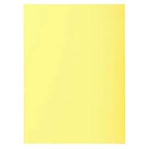 Paquet De 100 Sous-chemises Super 60 - 22x31cm - Canari - X 10 - Exacompta