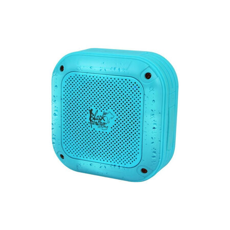 Enceinte Bluetooth et Waterproof - Bluedive