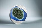 Pièce de monnaie en Argent 100 Dollars g 1000 (1 Kg) Millésime 2025 (PRÉCOMMANDE)