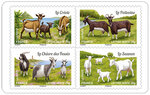 Carnet - Les chèvres de nos régions - 12 timbres autocollants