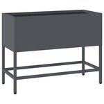vidaXL Bac de jardin surélevé Anthracite 60 x 26 x 45 cm Acier